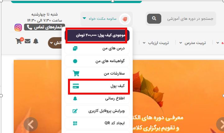 گزارش موجودی کیف پول